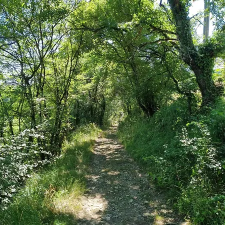 Belvert Parisot *